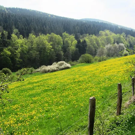 In Kuestelberg S Mountain, Cleaning Included Villa Medebach